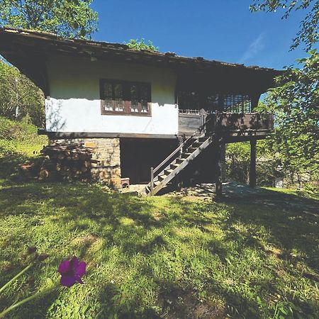 Guest House Cana Mihova Bozhentsi Esterno foto